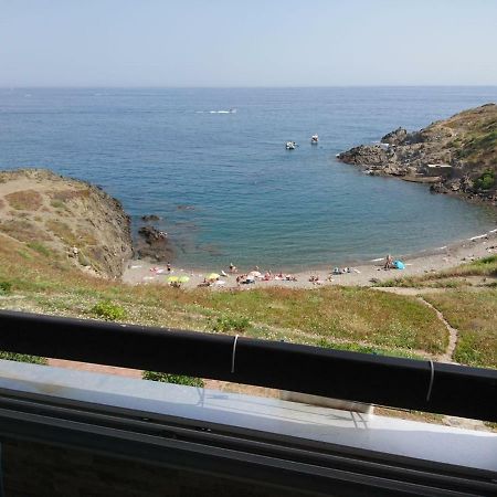 Portvendres Sea View Apartment Порт Вендрес Екстериор снимка