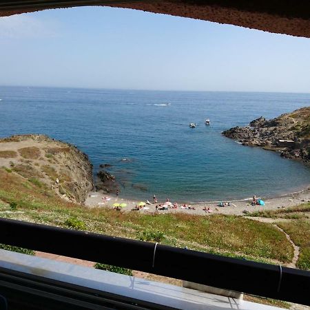 Portvendres Sea View Apartment Порт Вендрес Екстериор снимка