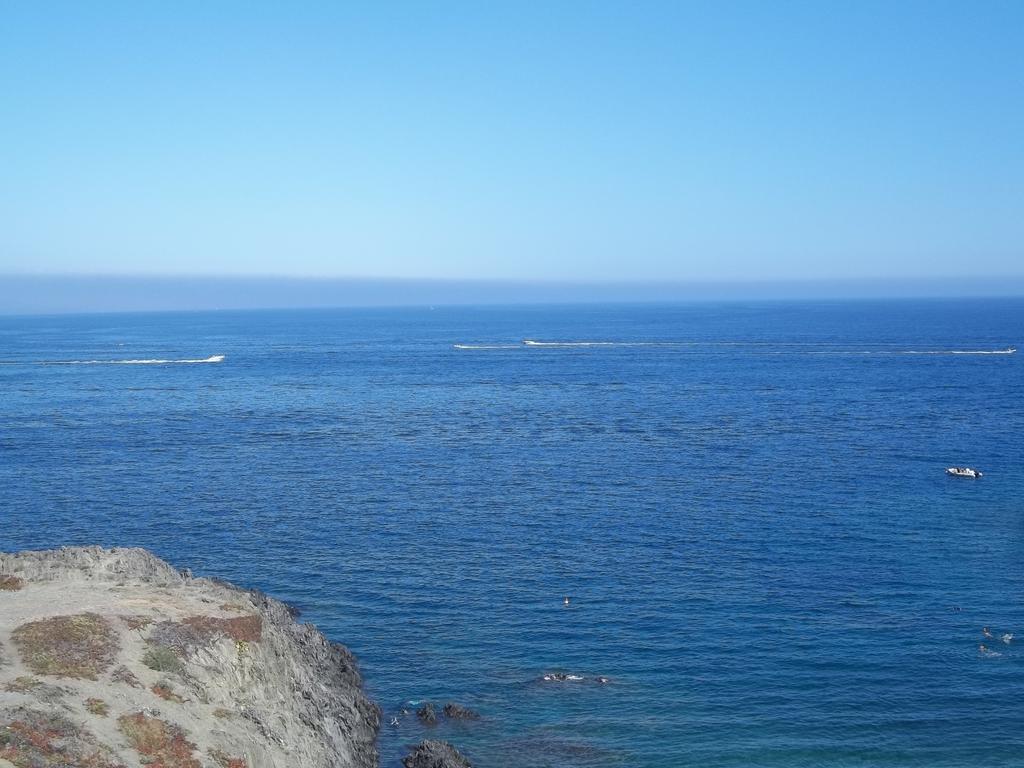 Portvendres Sea View Apartment Порт Вендрес Екстериор снимка